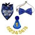 Blue 1set G889A