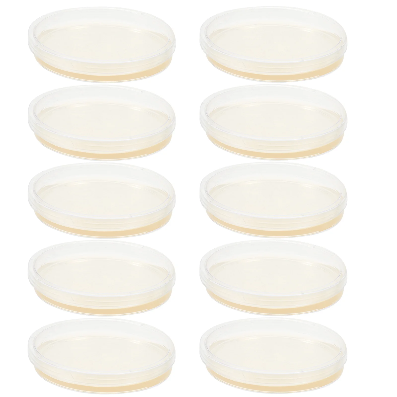 أطباق بتري مع أجار 10 قطعة 9 سنتيمتر لوحات الثقافة المجهزة مسبقًا لمشاريع معرض العلوم تجربة لوازم مجموعة معدات المختبرات #4