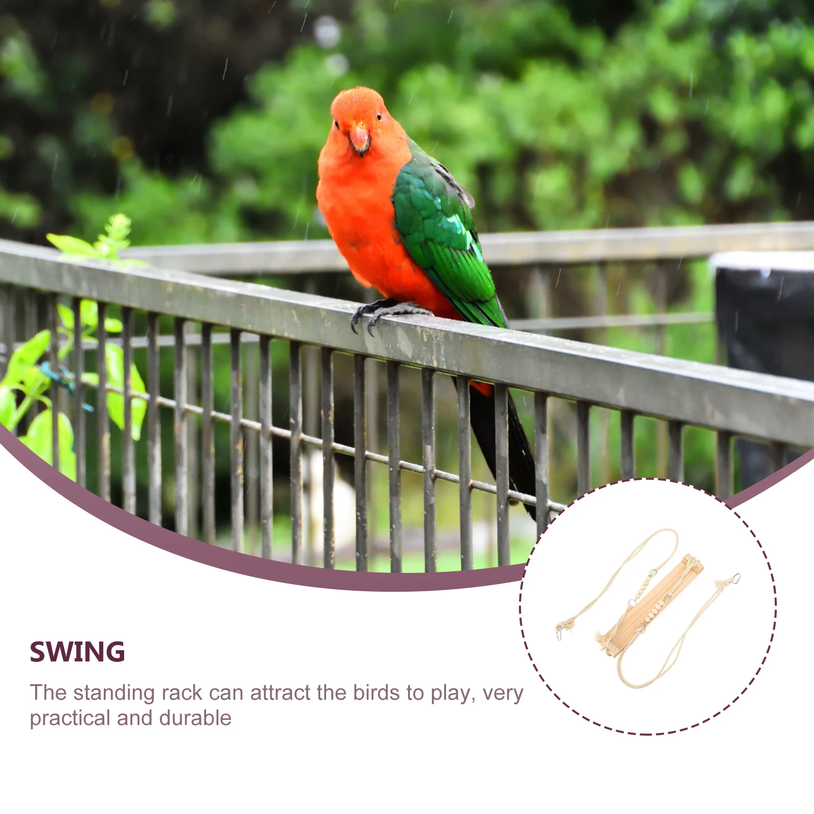 

Premium Bird Swing For Chicken Coop Parrot Large Durable Standing Rack Indoor Outdoor Wear Resistant Plaything Decorative