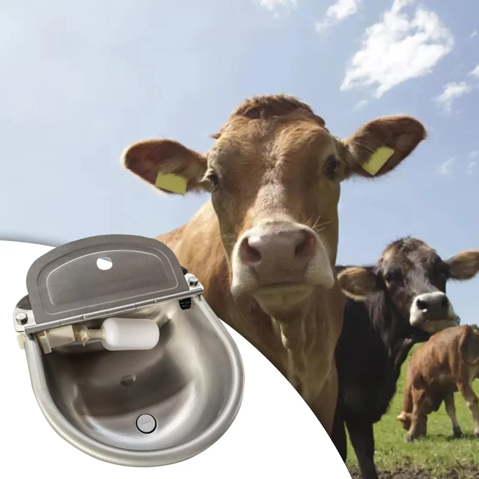 

Automatic Float Valve Bowls Feed Tools Cow Waterer Trough Feeder