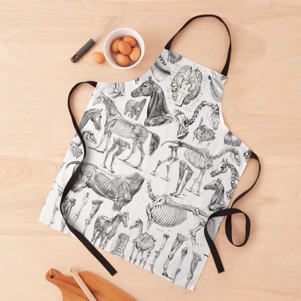 Horse Anatomy (black on white) Apron Kitchens For Men For Man Haircut kitchen gadgets Smock for hairdressing Apron