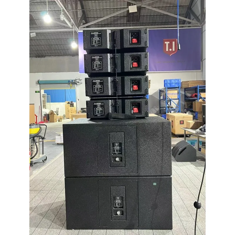 Dual 10 Inch Passive Line Array Speaker, Stable Sound System for Indoor and Outdoor Live Shows