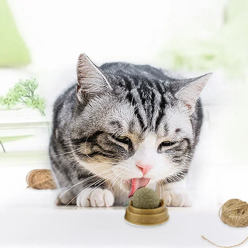 1-10Pcs Pet Catnip Toys Edible Catnip Ball Safety Healthy Cat Mint Cats Chasing Game Toy Products Clean Teeth The Stomach