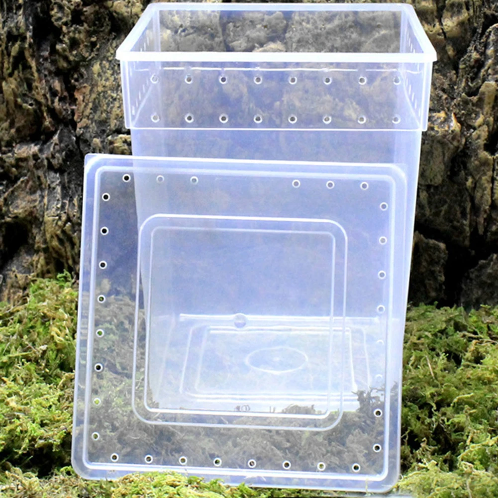 Reptile Feeding Box, Tarantula Enclosure Turtle Tank Aquarium Lizard Container Habitat Cage For Frog Spider Gecko Tarantulas