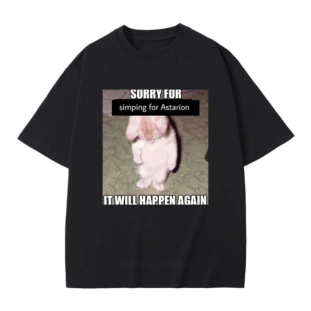 Sorry To Imitate As…