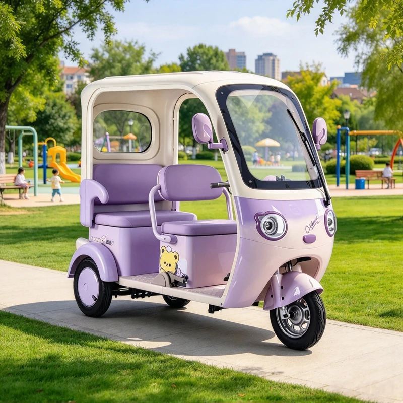 Multifunctional Hot Sale Adult Electric Tricycle Construction Site Vehicle Brushless Motor With Roof Green Power