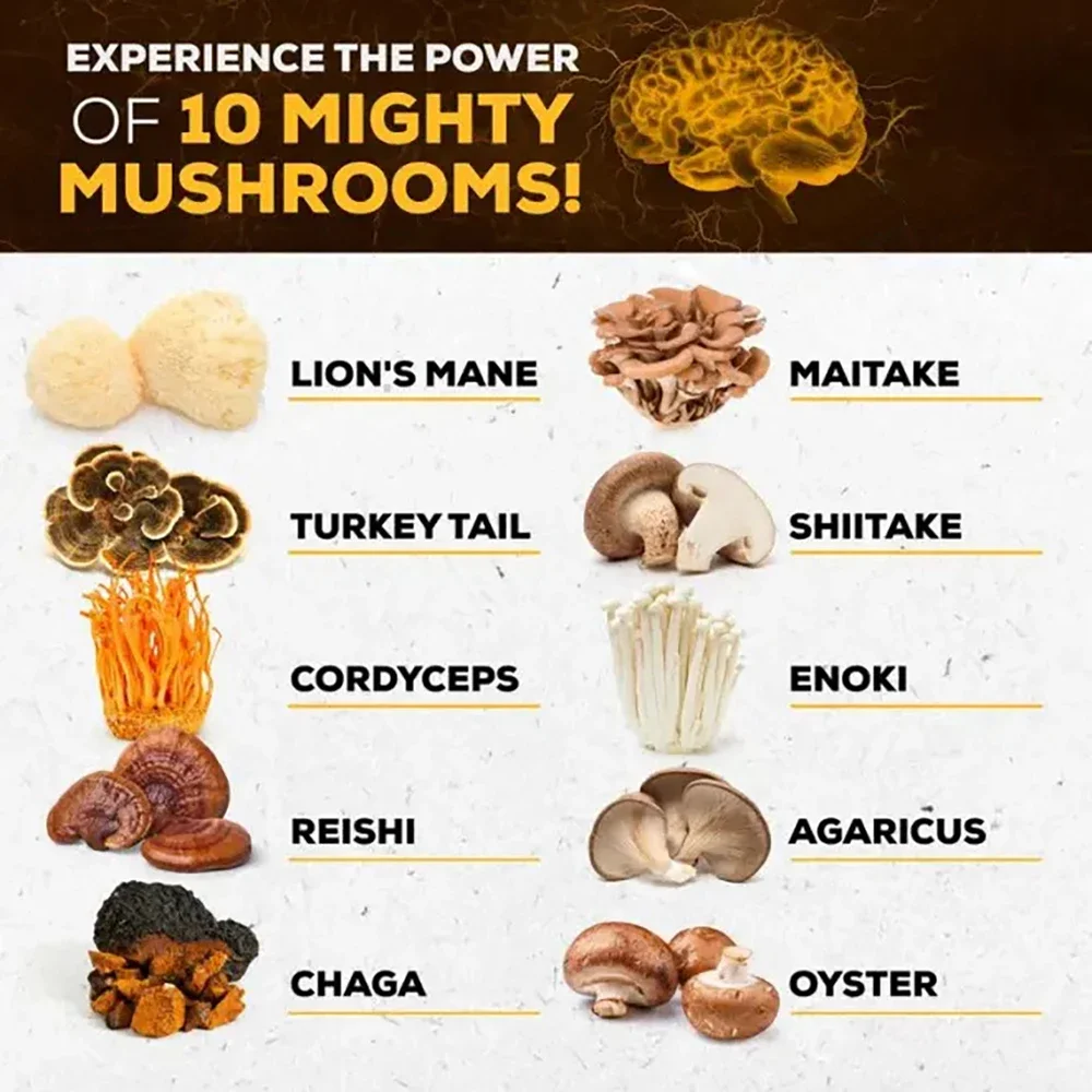 Mushroom Supplement 10x Complex - for Memory, Learning, Thinking and Concentration. Immunity, Energy, Brain Health