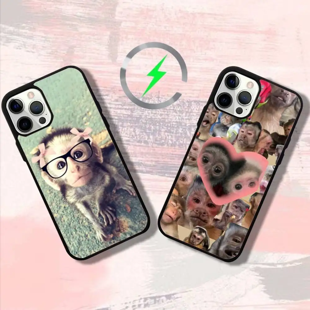 

Monkey Memes Phone Case For iPhone 16,15,14,13,12,11,Pro,Max,Plus,Mini,SE4,E Magnetic Magsafe Wireless Charging