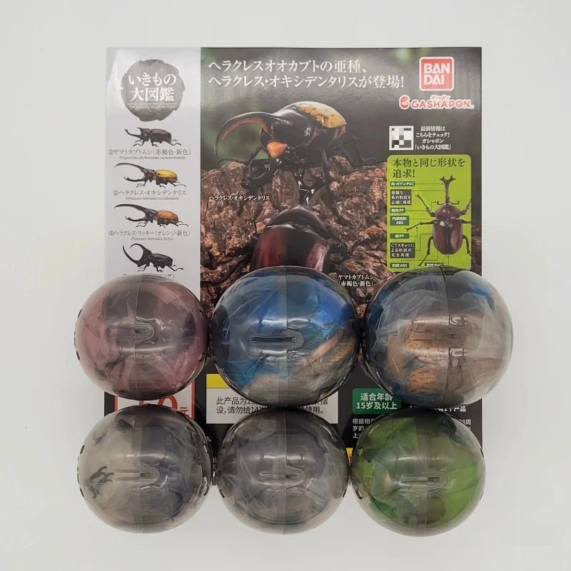 Bandai Twisted Egg Biological Big Picture Beetle Collection 09 Unicorn Fairy Big Dipper Simulation Insect Ornament In Stock