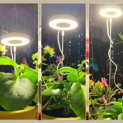 Luz LED de espectro completo para crecimiento de plantas, lámpara regulable de altura ajustable con temporizador, USB, 5V, para hierbas de interior