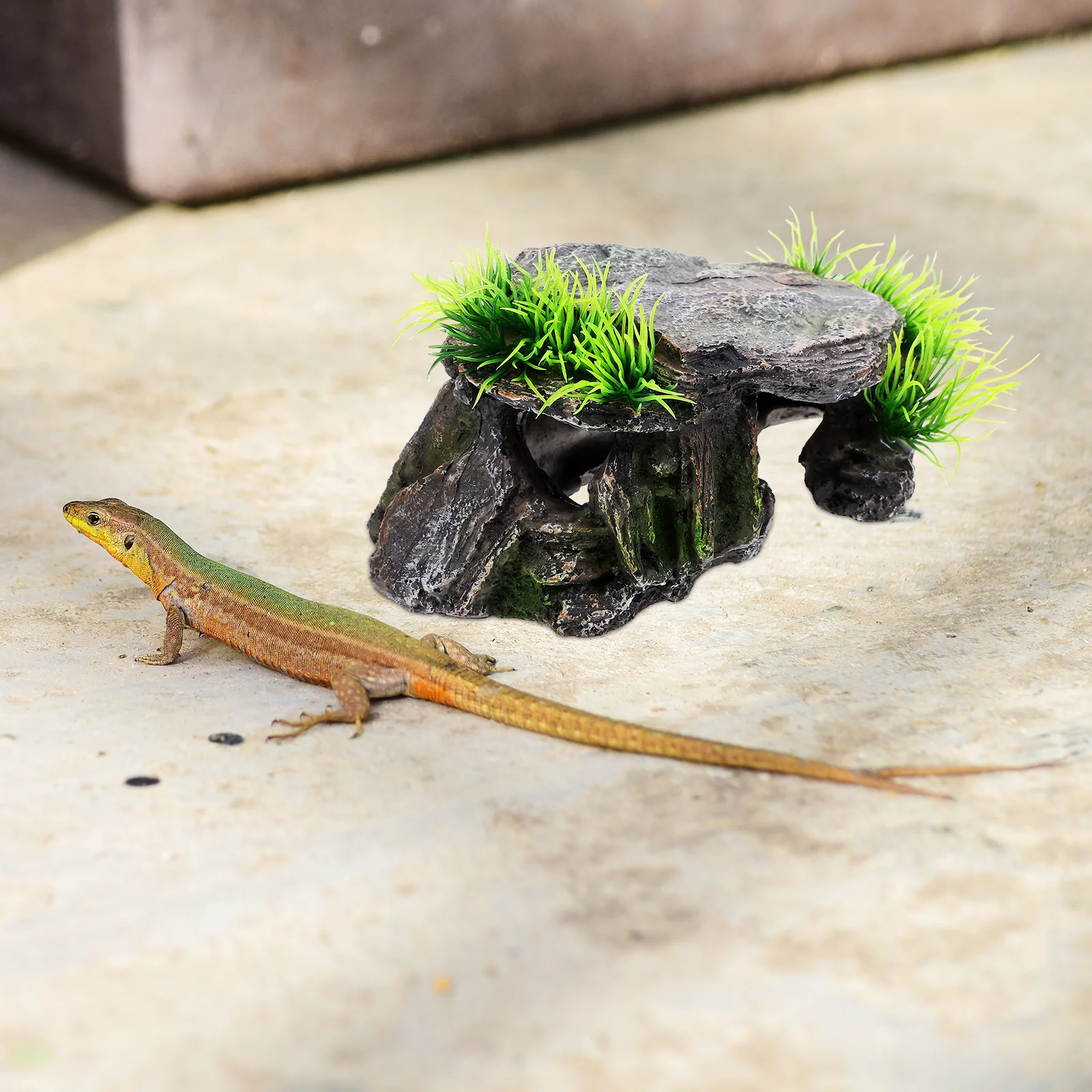 منصة تشمس الزواحف متعددة الوظائف والكهف المخبأ للسلحفاة المائية والسحالي والثعابين Geckos خزان السلحفاة المناظر الطبيعية #6