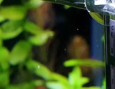 수족관 온도계 정확한 디스플레이 탱크 온도계 투명 무선 모니터 해수용 고정밀 장식품