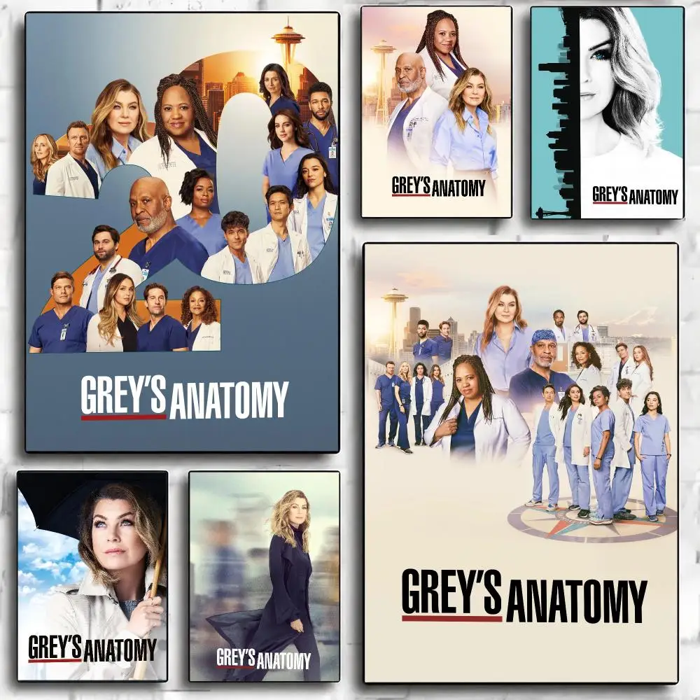tv series G-Greys Anatomy-Y Painting Calligraphy Nature Inspired Artwork for Living Room  Home Decoration