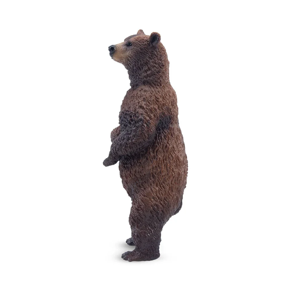 Toymany محاكاة الدائمة الدب البني الحياة البرية نماذج للحيوانات لعبة شخصيات صغيرة دمى عمل التماثيل لعب للأطفال هدية