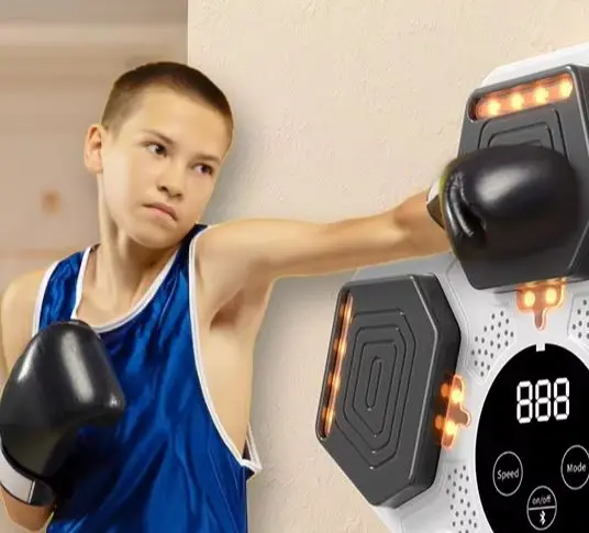 Smart Music Boxing Machine Wall Boxing Target Reaction Target Wall Target Dummy Training Fitness