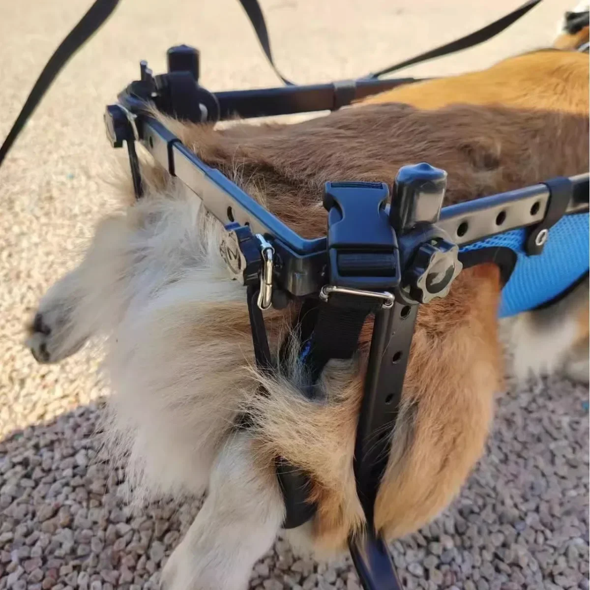 Dog Wheelchair Hind Limb Paralyzed Pet Scooter Disabled Dog Hind Leg Assist Cat Teddy Pet Bracket