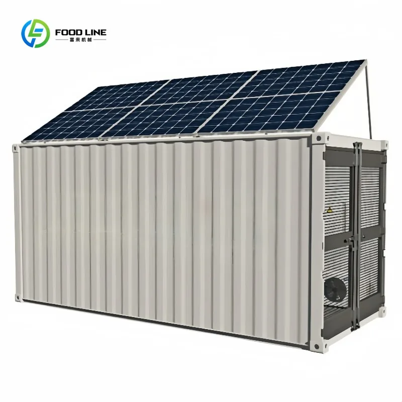 Commercial 20Ft Solar Freezer Container Cold Storage Room System Solar Powered Cooling Unit for Food Warehouse Customized