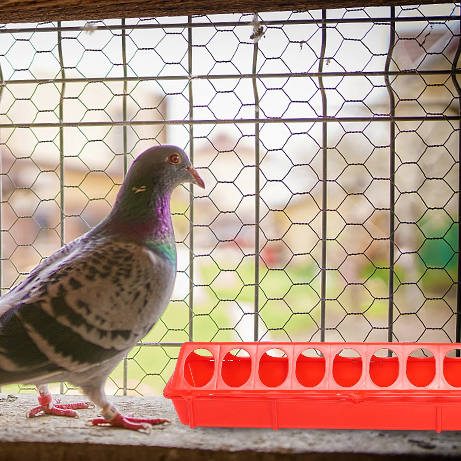 

2Pcs Poultry Food Feeding Groove Plastic Troughs Anti-Dirty Chicken Pigeon Feed Bowls Poultry Feeding Trough