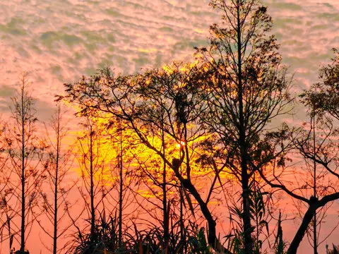 

Комплект для модернизации и улучшения металлических деталей радиоуправляемых машинок MJX 1/14 14207 14208 (хрупкие детали)