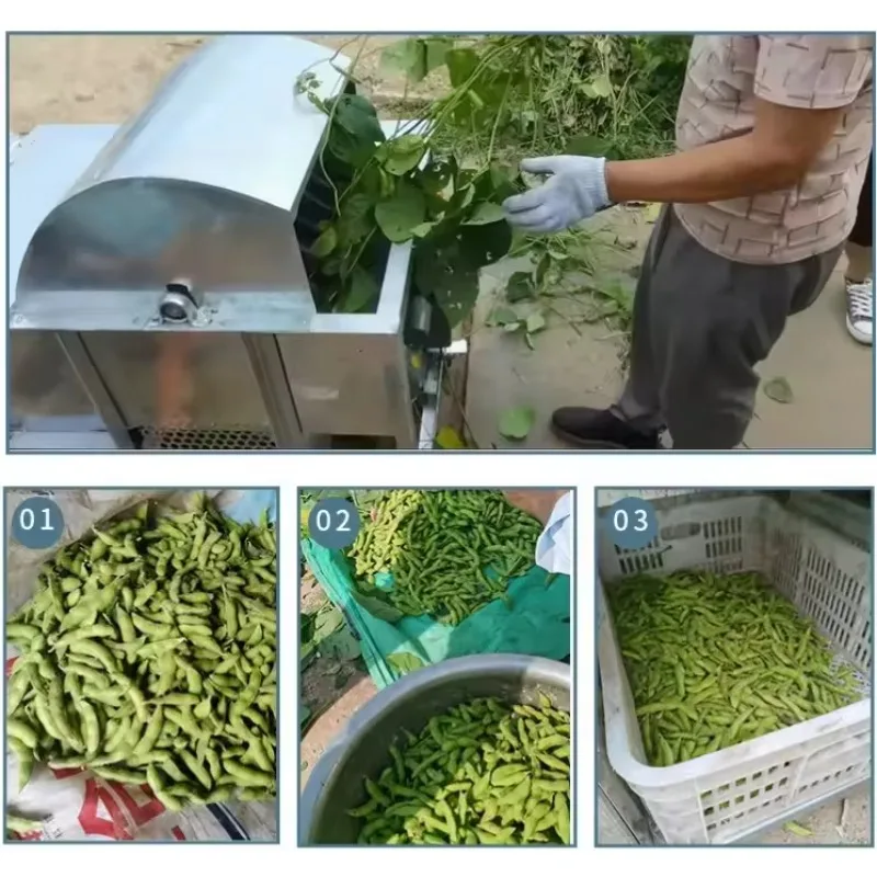 Pea Leaf Separating Picking Machine From Agricultural Equipment And Machinery Green Bean Processing Harvesting Machine