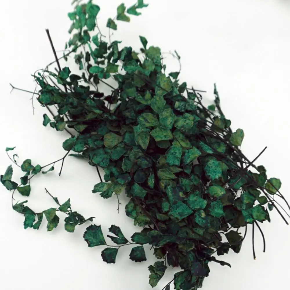 Railway Scenery Sand Table Vegetation Miniature Plant Creepers Micro Landscape Simulation Rattan Leaves Scene Model
