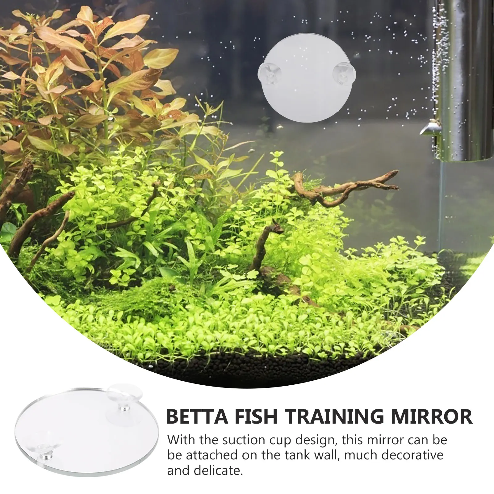 

10 Pcs Fish Tank Mirror Betta Suction Cup Aquarium Decor Exercise Acrylic Floating