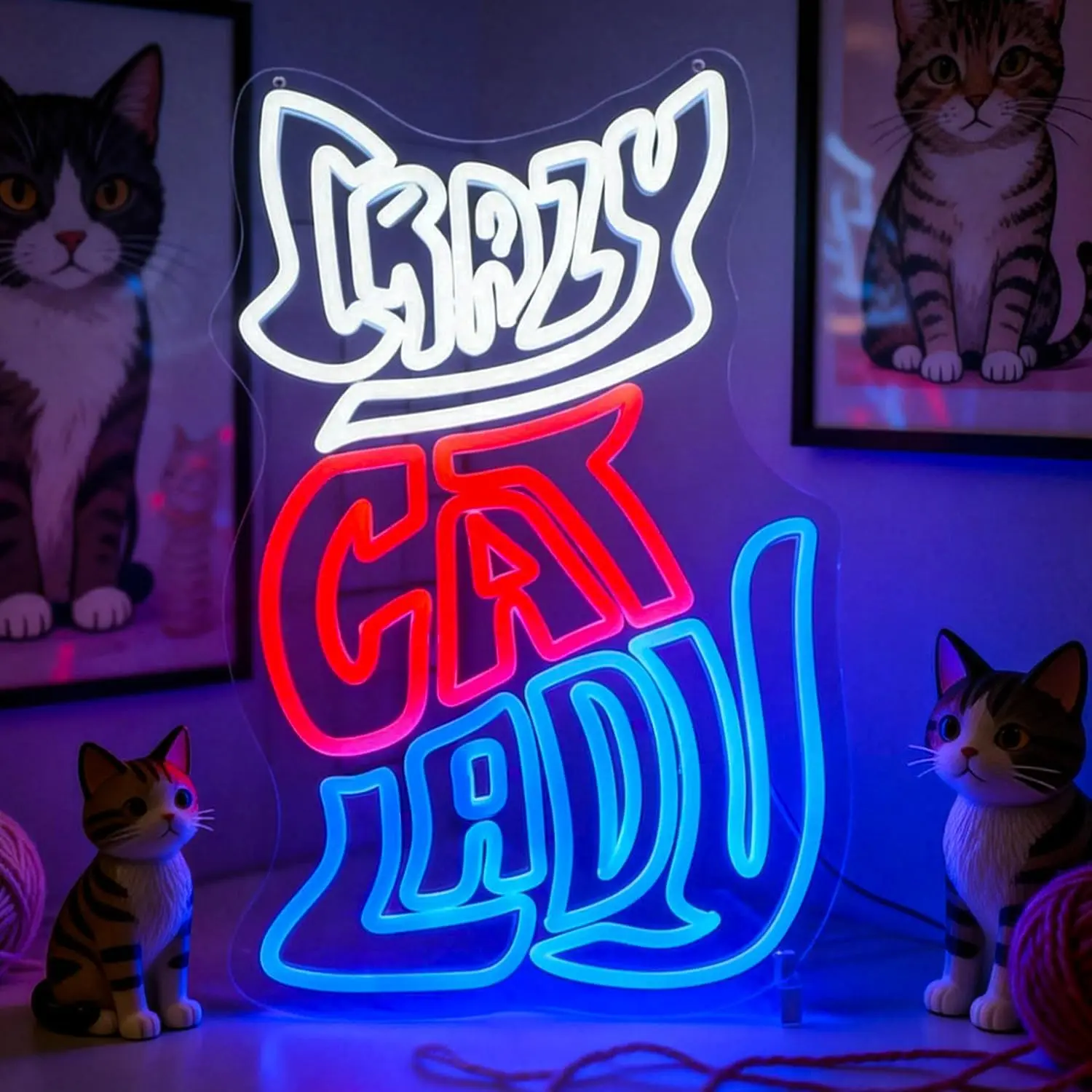 

Неоновая вывеска «Безумная кошатница», настенный светильник, USB LED-лампа для игровой комнаты, бара, вечеринки, спальни, декор, персонализированный неоновый подарок