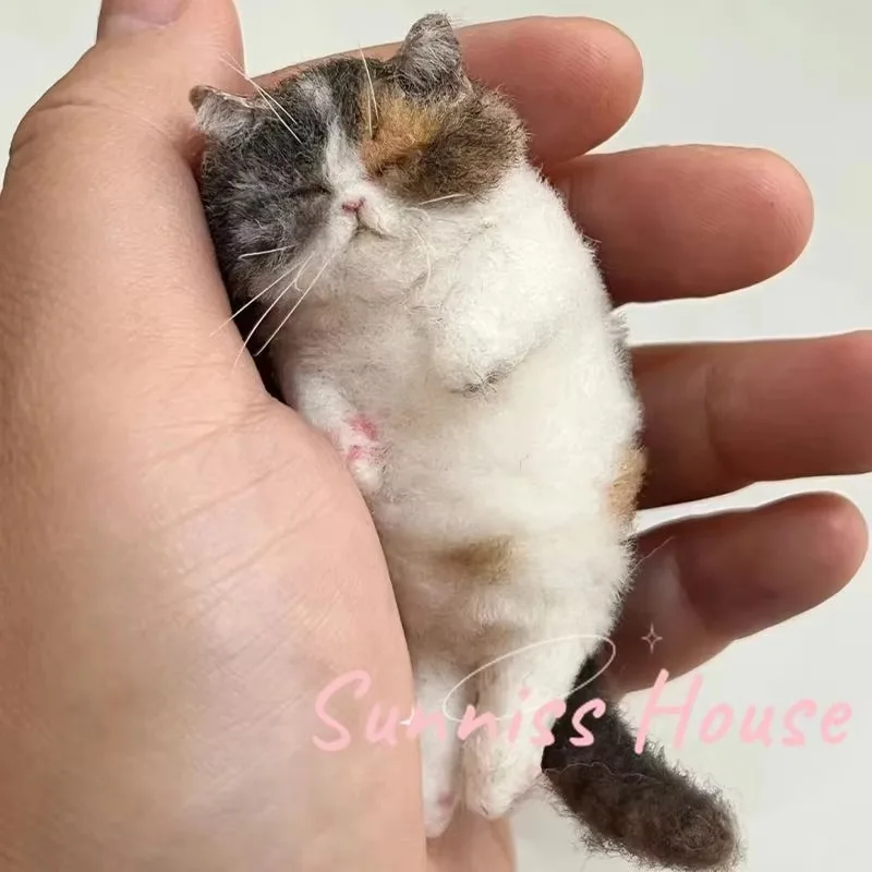 Sheep Felt Poke Cat Handmade Material Bag for Beginner,Diy Wool Needle Felting, Simulation New