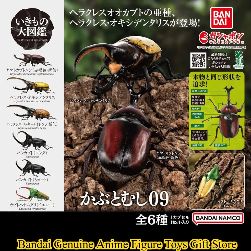 Bandai Original Gashapon Insect Collection Beetle 09 Hercules