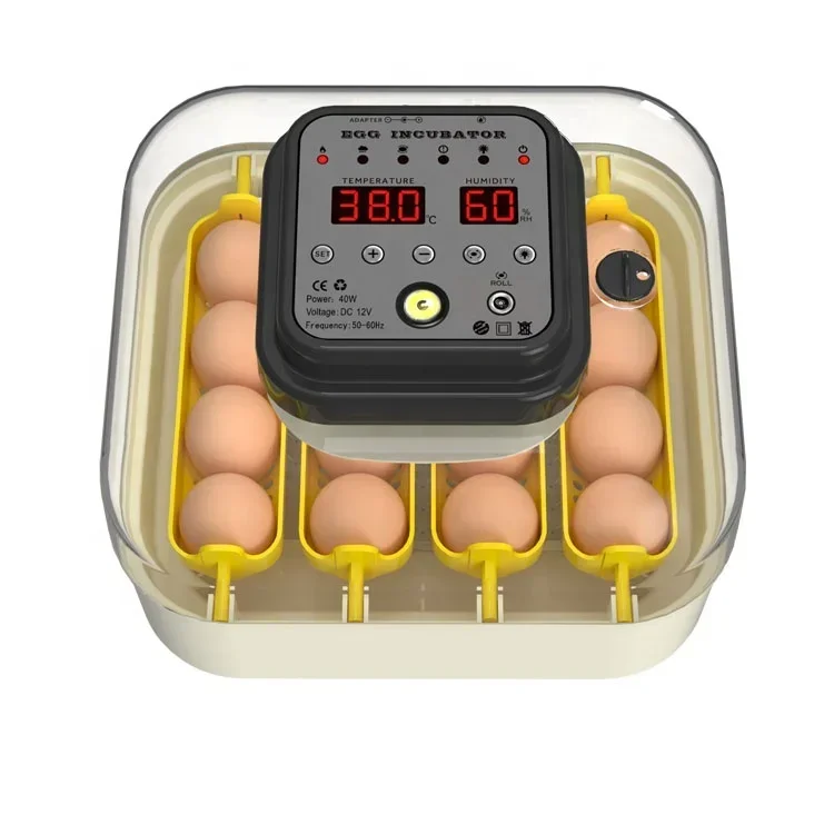 New arrive full automatic 16 chicken eggs mini solar egg incubator for family use-11