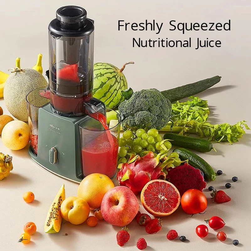 220V Slow Juicer Cold Press Electric Juice Extractor Lemon Fruit Juice Maker Blender Easy Clean Can Make Ice Cream Crushed Ice