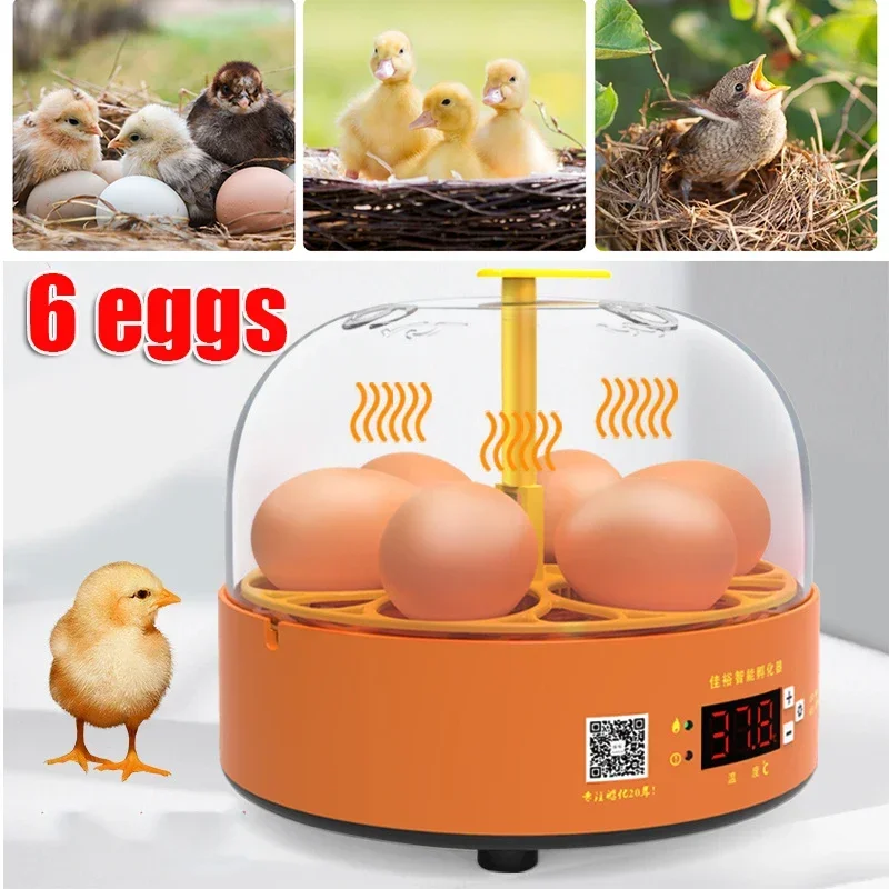 6 Egg Automatic Incubator Hatcher Brooder with Turn Mini Household Egg Incubator Machine Quail Chicken Duck Home Brooder