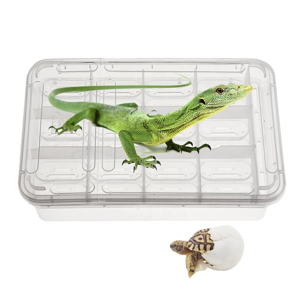 

24 Compartments Incubation Box Lizard Incubator Climbing Pet Hatching Boxes Snake