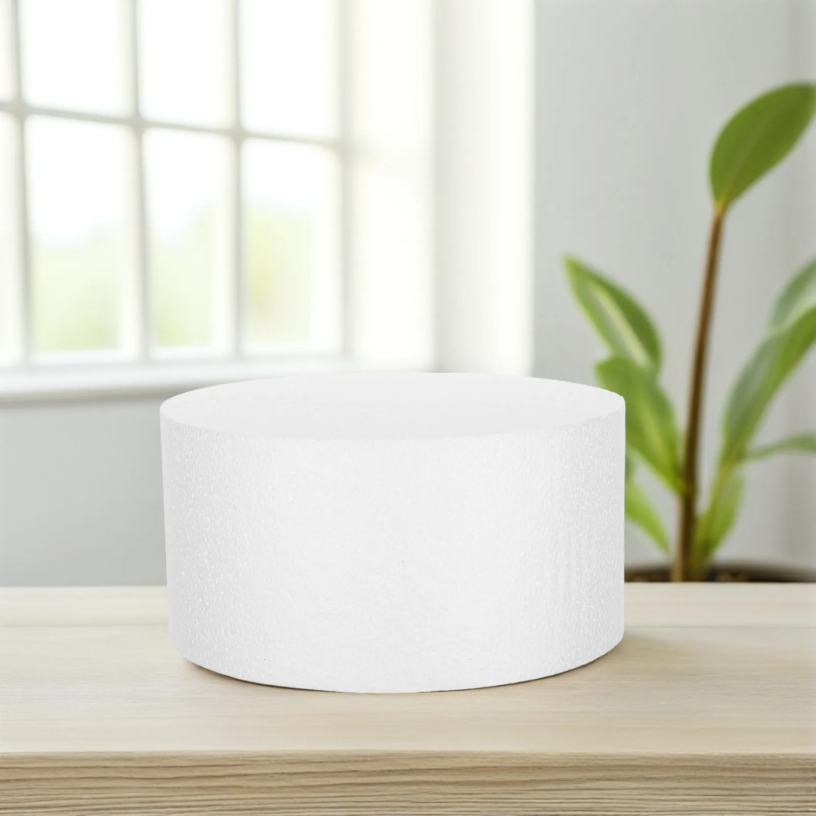 2Pcs Round Cake Foam Craft White 8 Inch Sturdy Polystyrene Dummy Cake Decorating Tools Practice Props Dummy Prop