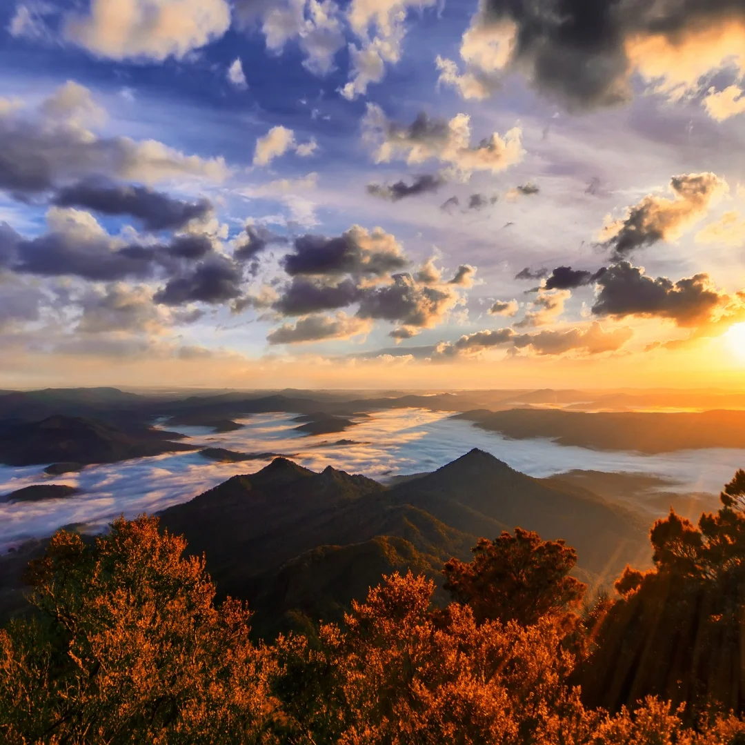 Android для Porsche Panamera 2010-2017 мультимедийный видеоплеер Copilot автомобильный радиоприемник Navi стерео Carplay авто двойной экран головное устройство