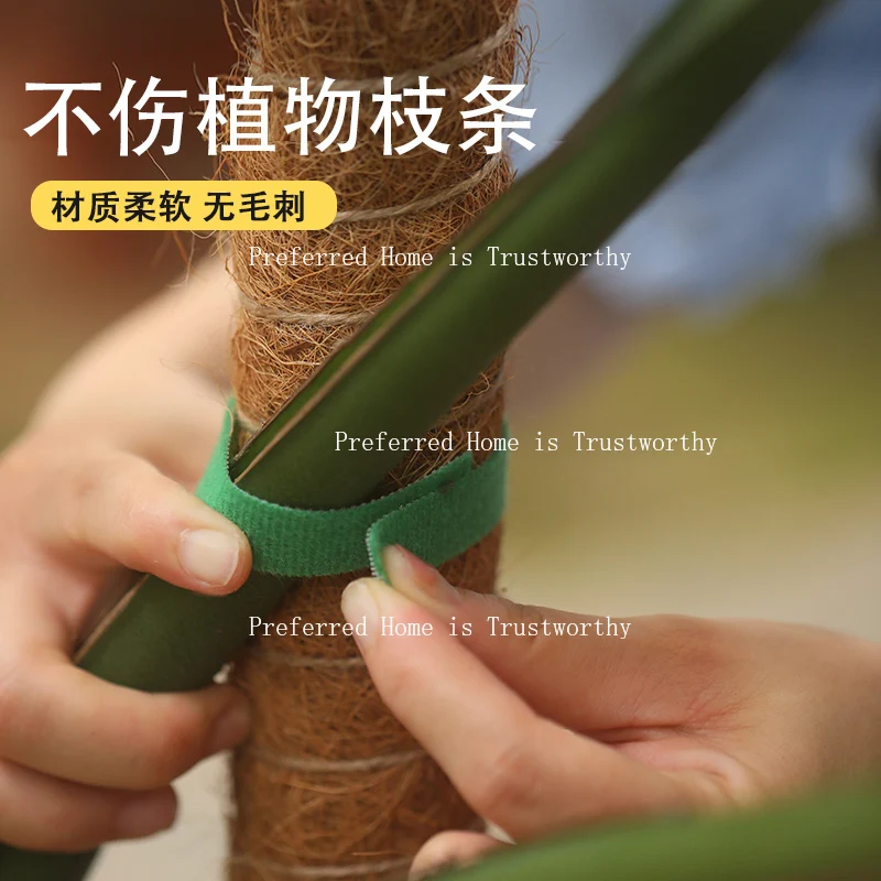 

Horticultural Nylon Zip Ties, Green Plants, Climbing Vines, Self-adhesive Zip Ties, Double-sided Fixed Stickers, Plant Bundling