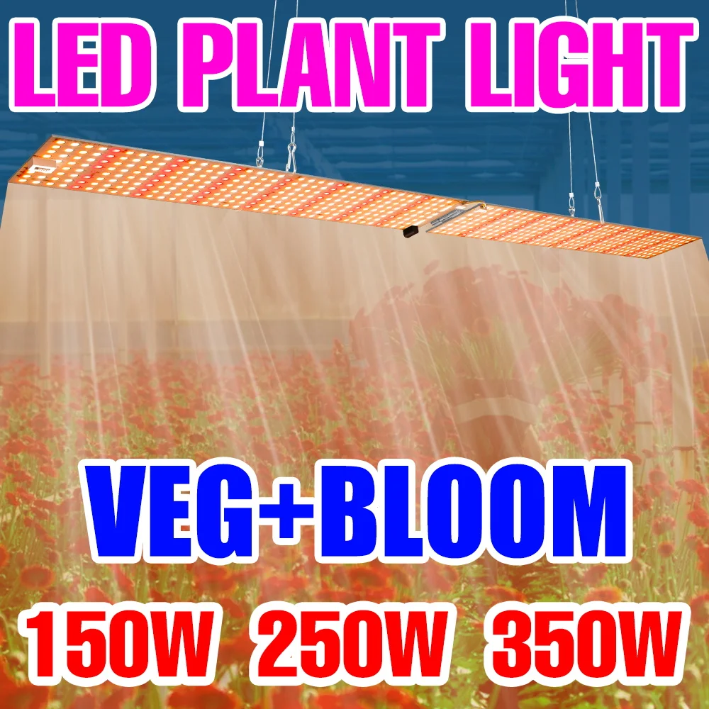 

350W LED Full Spectrum Grow Light Quantum Board Plant Lamp Indoor Flower Growth Tent Herbage Vegetables Fill Lighting US/EU Plug