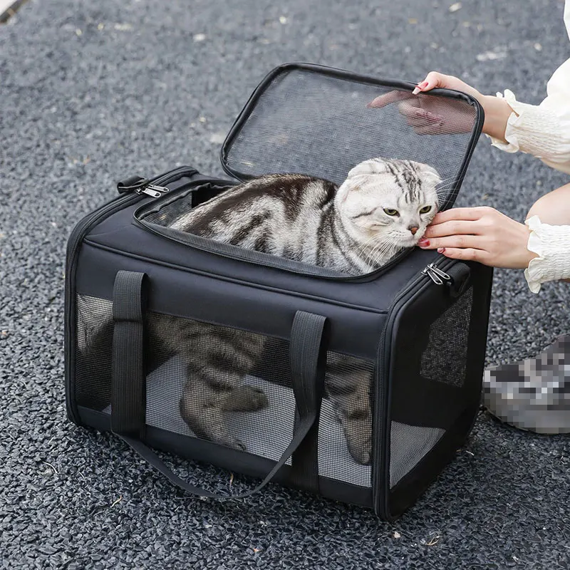 Imagem -06 - Transparente Pet Carrier Bolsa Mochila de Viagem ao ar Livre para Gatos e Cães Pequenos Pet Shop Bolsa de Transporte Respirável Portátil