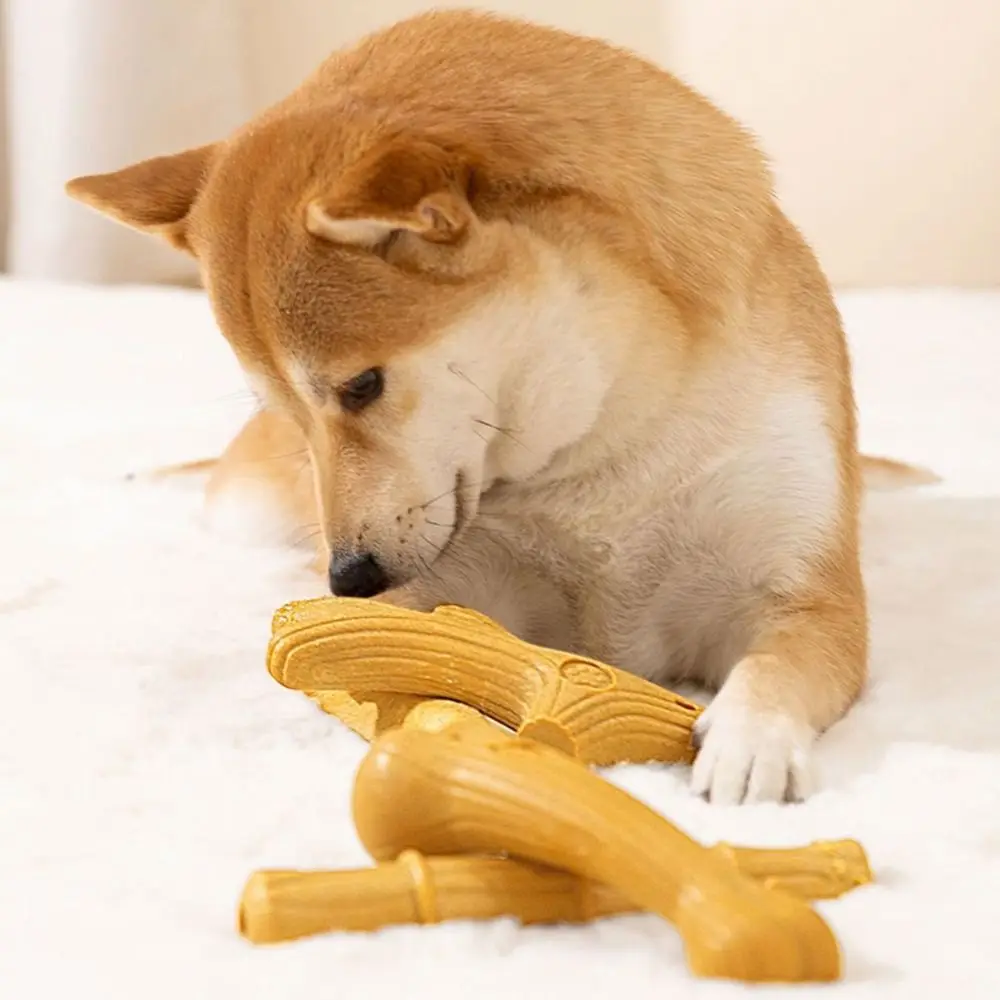 2 قطعة اكسسوارات الحيوانات الأليفة سجل اللون الكلب مضغ عصا لدغة مقاومة العظام شكل الكلاب مضغ اللعب الخشب جرو المولي لعب لتنظيف الأسنان #1