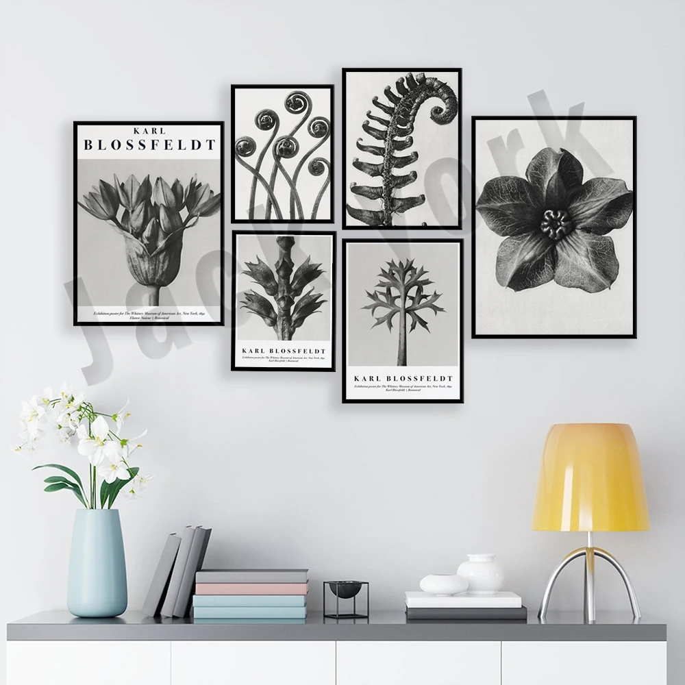 

Karl Blossfeldt print, modern botanical art exhibition poster, mid-century, gallery wall art canvas painting living room decor