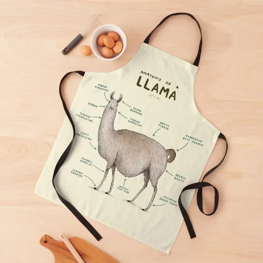 

Anatomy of a Llama Apron custom women's kitchen Kitchen on the wall Hairdressing Hairdresser Accessories Art Apron