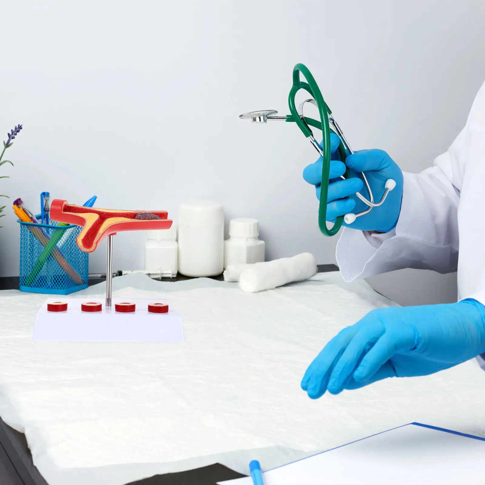 

Анатомическая демонстрационная модель кровеносных сосудов человека с атеросклерозом для обучения