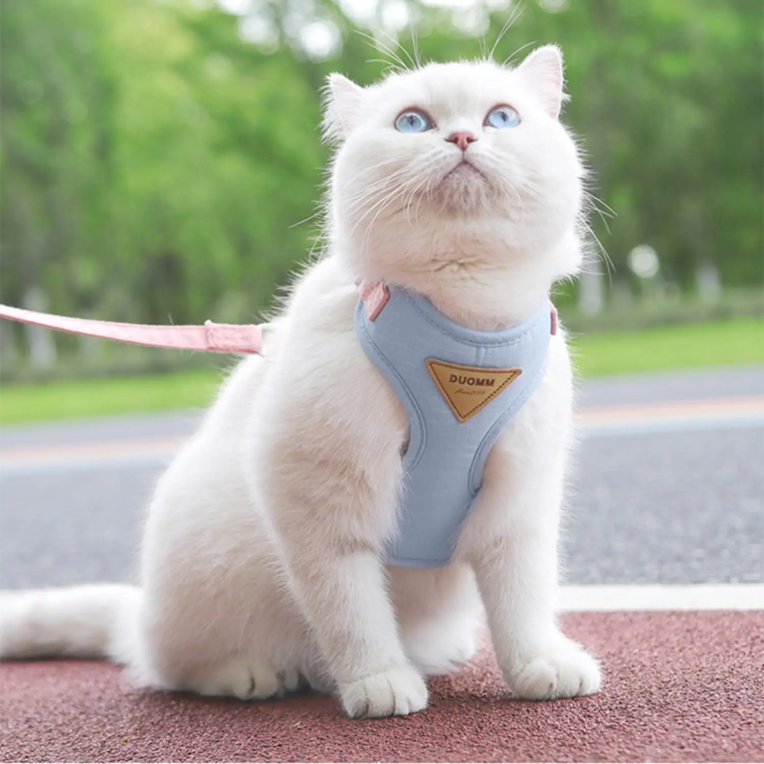 ปรับสายรัดลูกแมวชุด Escape PROOF Breathable Cat Harness และสายจูงสําหรับเดินกลางแจ้งควบคุมง่าย PET Supplies