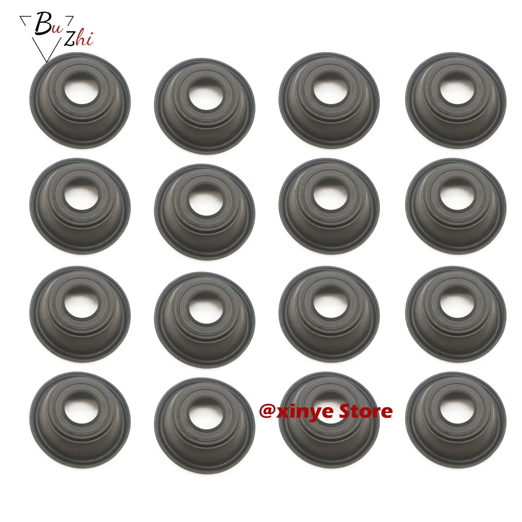 Carburetor Plunger …