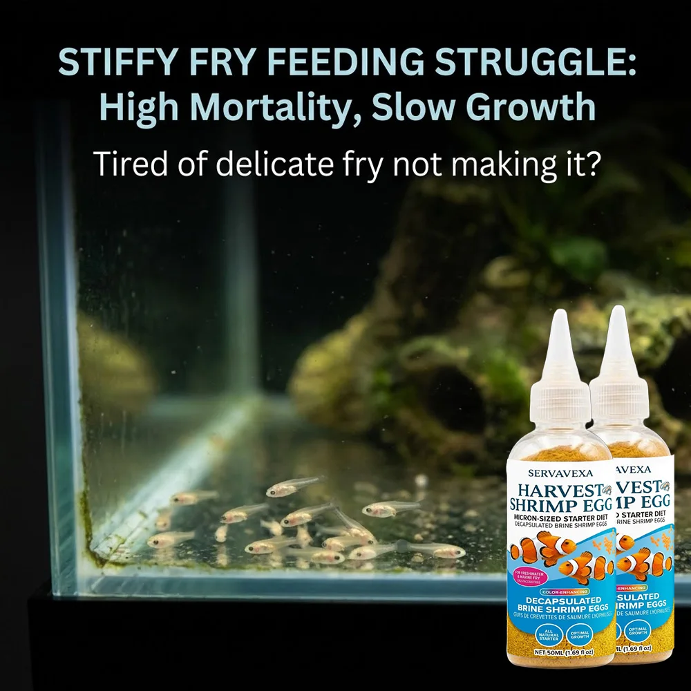 High Protein Fish Food for Betta Guppy Fry Premium Aquarium Feed Quick Growth Healthy Digestion Immune Support Floating Pellet view 6