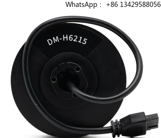 

1NM High Torque DM H6215 Brushless DC In-Wheel Motor Direct Drive