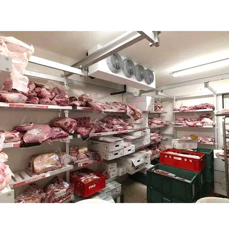 Coldroom Meat Fish Fruits Vegetables Container Refrigeration Unit Blast Chiller Freezer Walk in Cold Room Storage Manufacturer