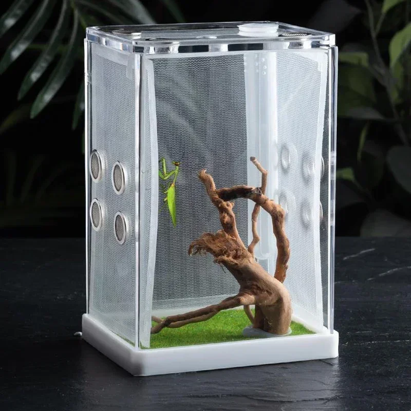 Acrylic Breeding Box Reptile Insect Jumping Spider Breeding Box Pet Turtle Lizard Portable and Minimalist Ecological Decoration