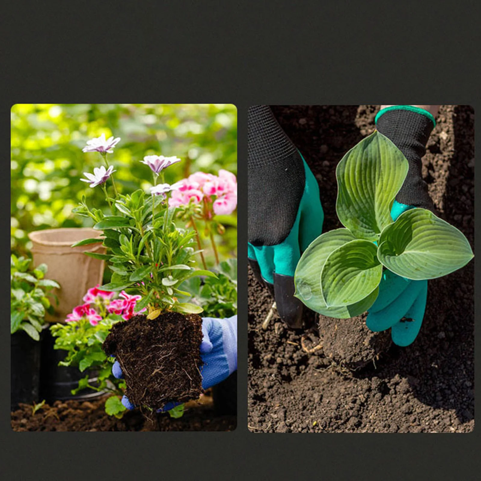 Truelle de jardinage, petite p - Gardening Hand Tools Yard avis et prix