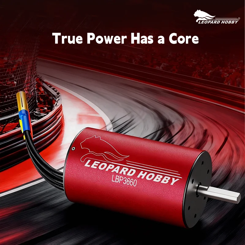 LEOPARD LBP3650 LBP3660 LBP3665 LBP3674 4P Sensorless Brushless Motor High Torque High Power for 1/8 1/10 RC Car Monster Truck